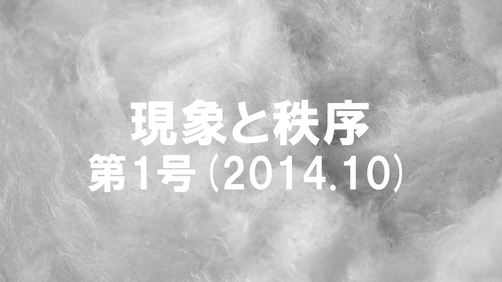 『現象と秩序』　第1号(2014.10)